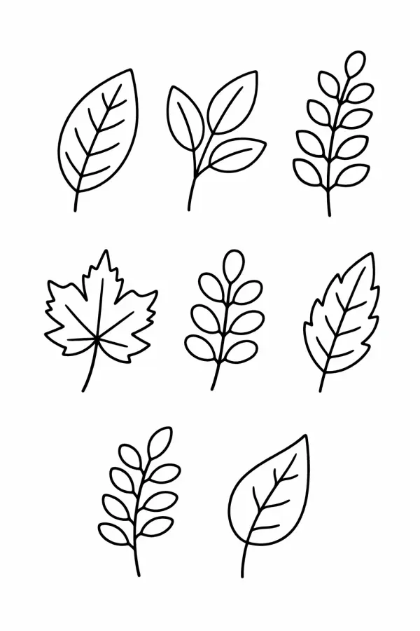 Minimal leaf coloring page – easy printable botanical design for adults